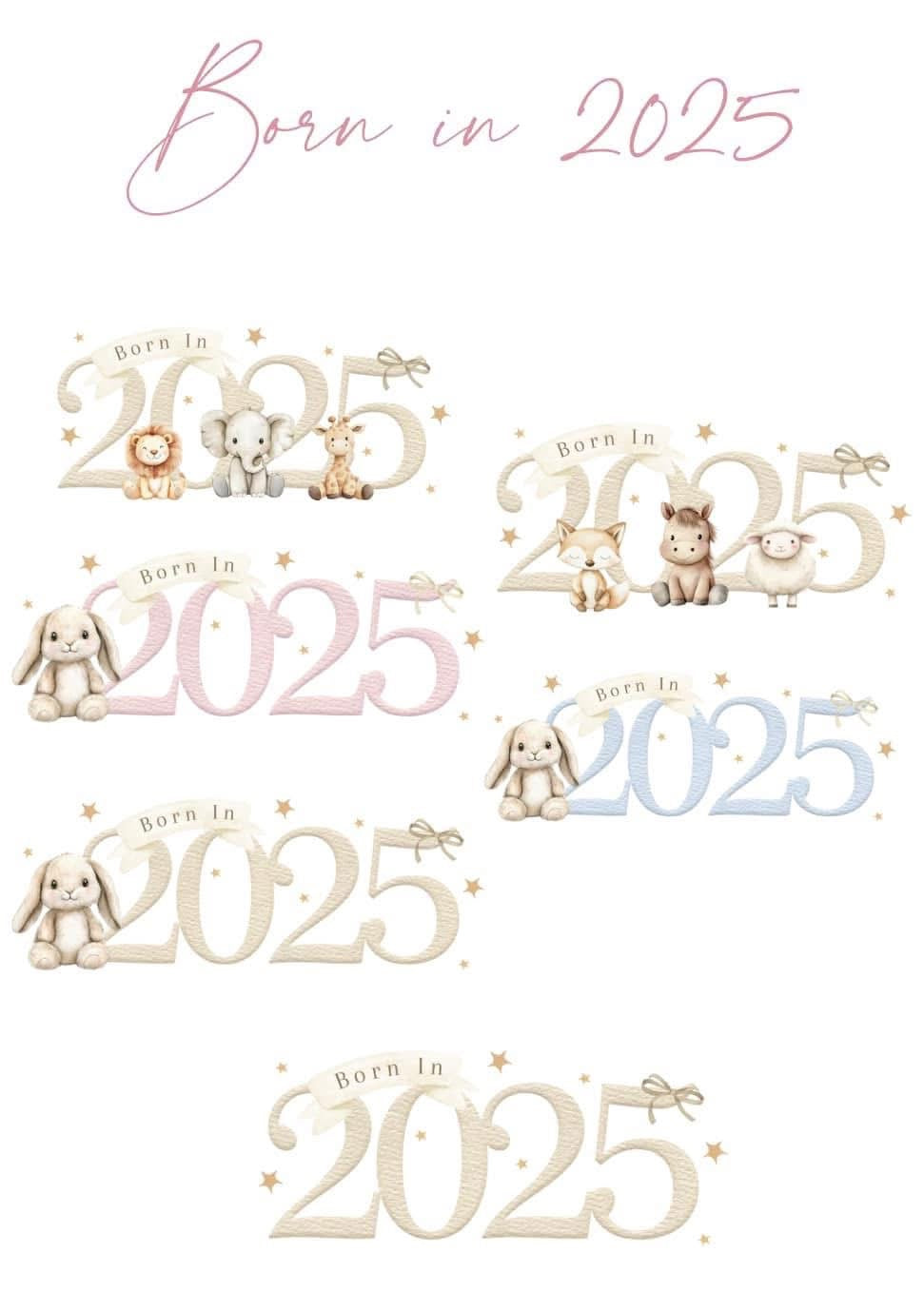 BORN IN 2025 PHOTO ALBUM