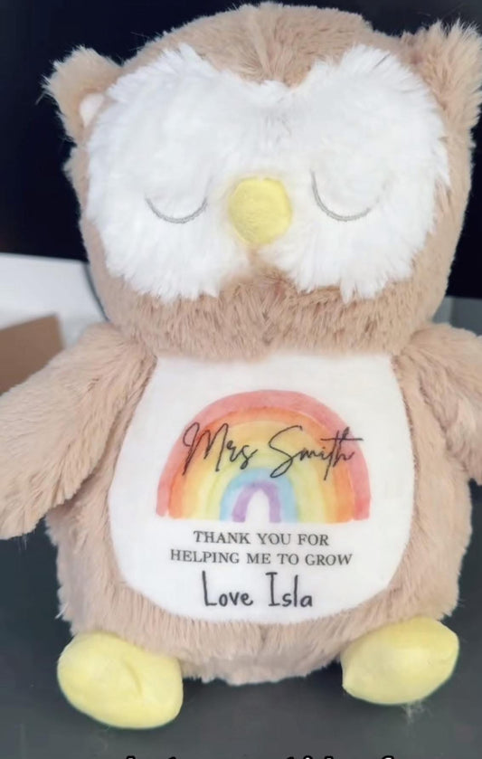 PERSONALISED OWL TEDDY~ RAINBOW TEACHER DESIGN